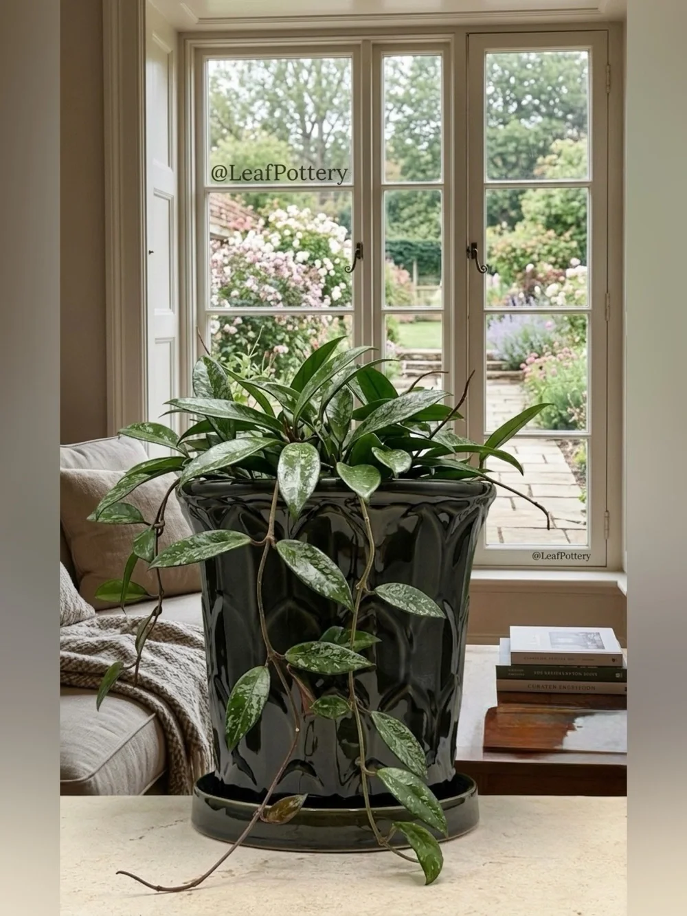Gothic Ceramic Planter with Attached Saucer | 7
